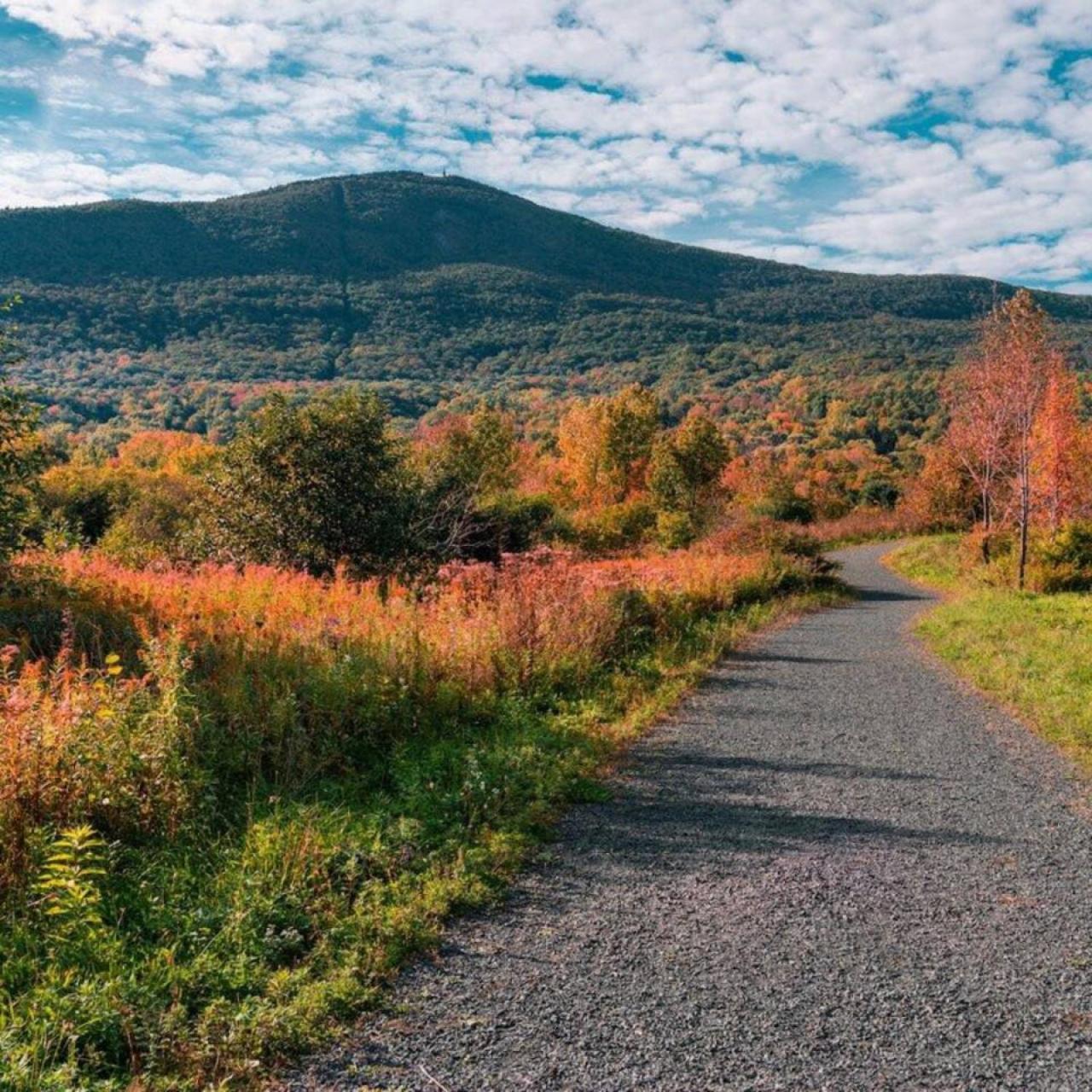 2 Bed Berkshire Getaway Minutes To Jiminy Peak Ski 핸콕 외부 사진